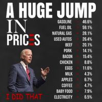 Huge Jump In Prices Joe Biden I Did That 25L Jumbo Tote