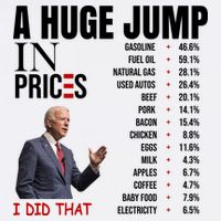 Huge Jump In Prices Joe Biden I Did That Cooling Performance Crew T-Shirt