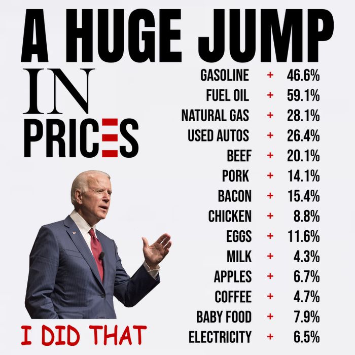 Huge Jump In Prices Joe Biden I Did That Women's V-Neck T-Shirt
