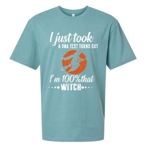 Halloween Just Took A Dna Test Turns Out Im 100% That Witch Great Gift Sueded Cloud Jersey T-Shirt