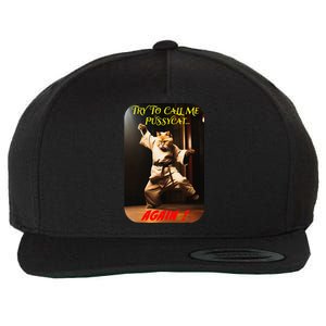 Humorous Karate Theme Ironic Cat Kung Fu Animal Funny Pet Wool Snapback Cap