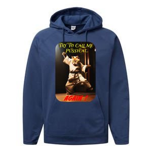 Humorous Karate Theme Ironic Cat Kung Fu Animal Funny Pet Performance Fleece Hoodie