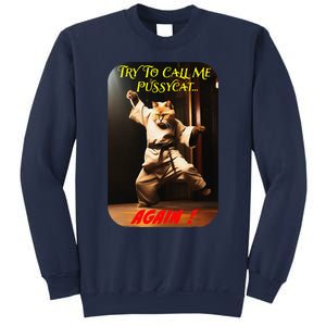 Humorous Karate Theme Ironic Cat Kung Fu Animal Funny Pet Sweatshirt