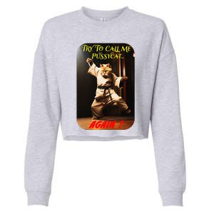 Humorous Karate Theme Ironic Cat Kung Fu Animal Funny Pet Cropped Pullover Crew