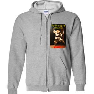 Humorous Karate Theme Ironic Cat Kung Fu Animal Funny Pet Full Zip Hoodie