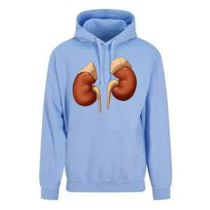 Human Kidneys With Adrenal Glands Medical Illustration Unisex Surf Hoodie