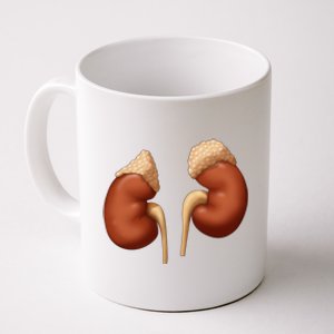 Human Kidneys With Adrenal Glands Medical Illustration Coffee Mug