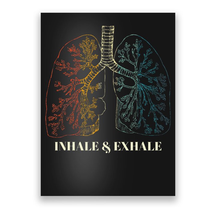 Human Lungs Anatomy Inhale Oxygen And Exhale Carbon Dioxide Poster