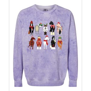 Horse Lover Animal Christmas Farm Animals Funny Colorblast Crewneck Sweatshirt