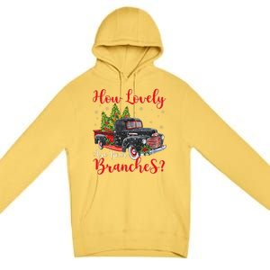 How Lovely Are Your Branches Car Xmas Red Truck Christmas Premium Pullover Hoodie