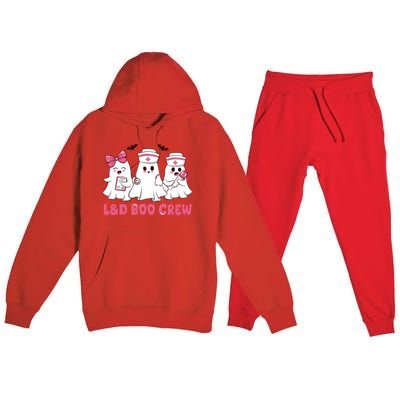 Halloween Labor And Delivery Nurse Cute Gift L And D Boo Crew Gift Premium Hooded Sweatsuit Set