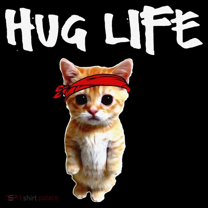 Hug Life Funny Awesome Cool Cute Cat Kitten Tee Sweatshirt
