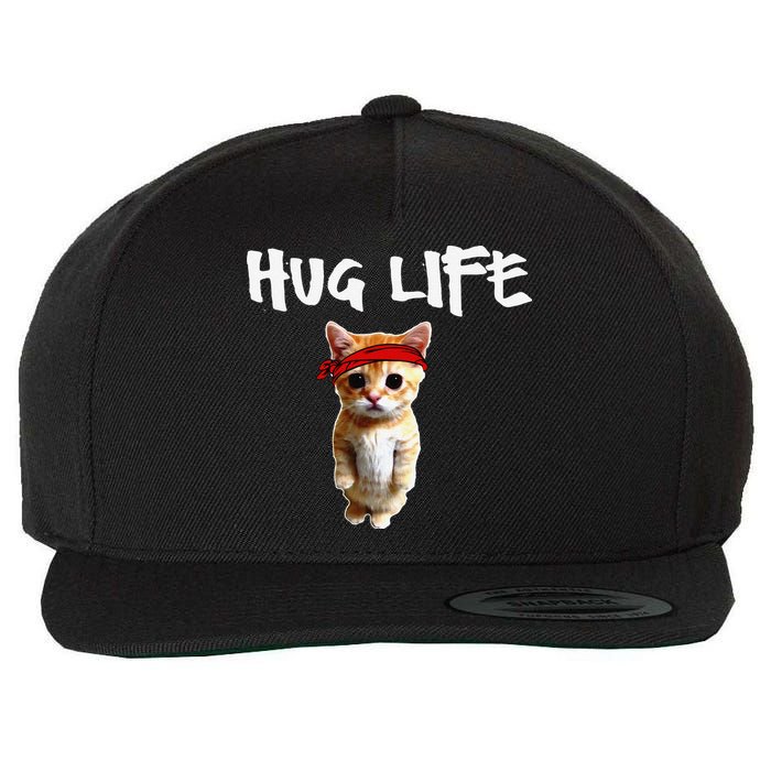 Hug Life Funny Awesome Cool Cute Cat Kitten Tee Wool Snapback Cap