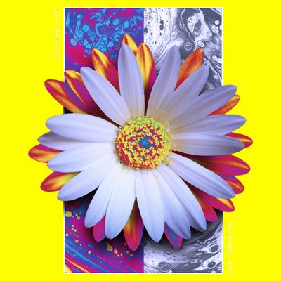 Holographic Lily Flower T-Shirt