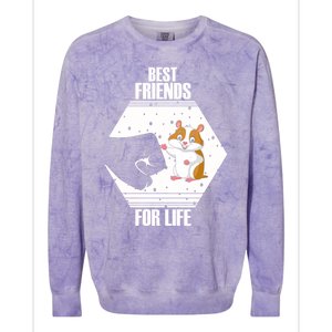 Hamster Lover Great Gift Colorblast Crewneck Sweatshirt