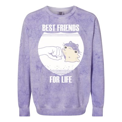 Hamster Lover Great Gift Colorblast Crewneck Sweatshirt