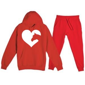 Horse Lover Gift For Teens And Who Love Horses Cute Gift Premium Hooded Sweatsuit Set