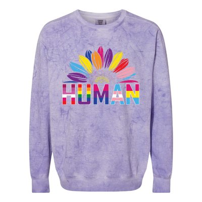 Human Lgbtq Gift Colorblast Crewneck Sweatshirt