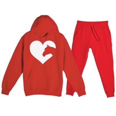 Horse Lover Gift Who Love Horses Premium Hooded Sweatsuit Set