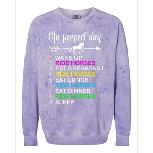 Horse Lover Horseback Riding Horse Lover Gift Colorblast Crewneck Sweatshirt