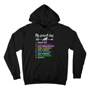 Horse Lover Horseback Riding Horse Lover Gift Hoodie