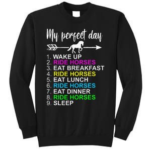 Horse Lover Horseback Riding Horse Lover Gift Sweatshirt