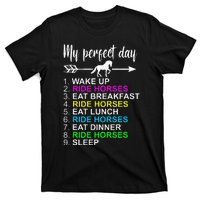 Horse Lover Horseback Riding Horse Lover Gift T-Shirt