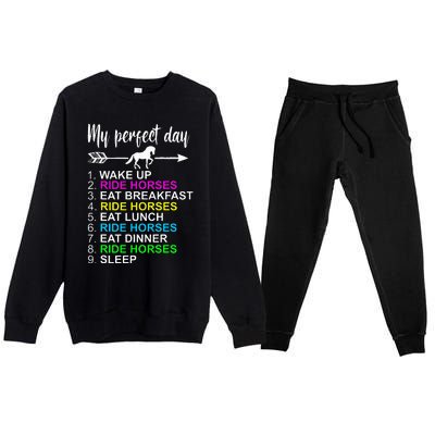 Horse Lover Horseback Riding Horse Lover Gift Premium Crewneck Sweatsuit Set