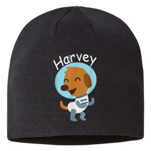 Harvey Learning Sustainable Beanie