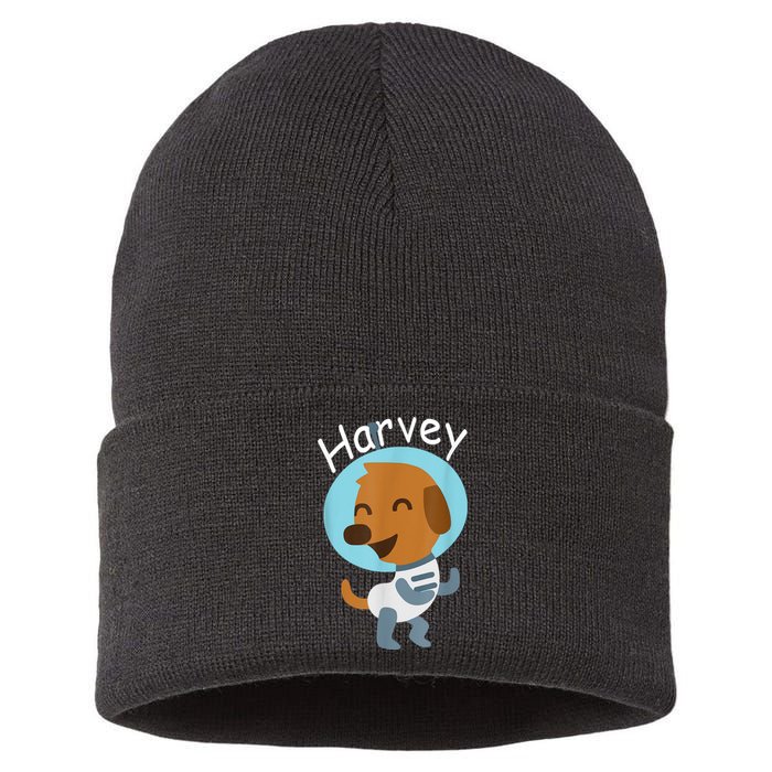 Harvey Learning Sustainable Knit Beanie