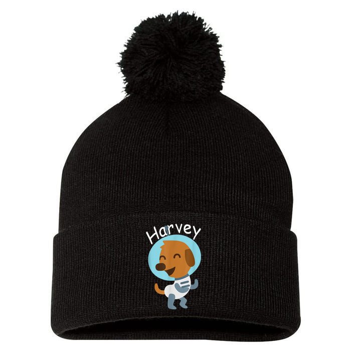 Harvey Learning Pom Pom 12in Knit Beanie