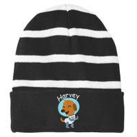 Harvey Learning Striped Beanie with Solid Band