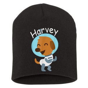 Harvey Learning Short Acrylic Beanie