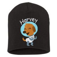 Harvey Learning Short Acrylic Beanie