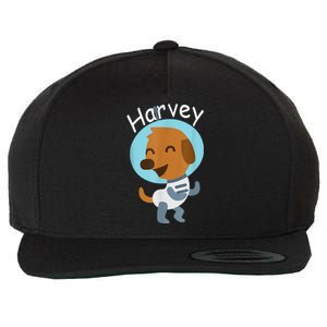 Harvey Learning Wool Snapback Cap