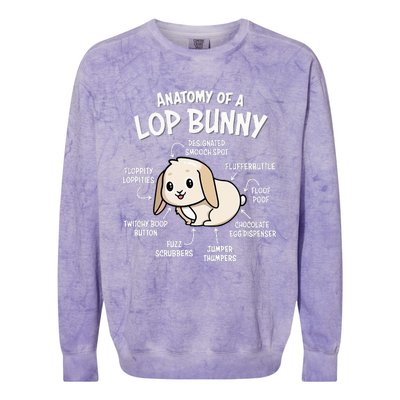 Holland Lop Colorblast Crewneck Sweatshirt