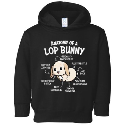 Holland Lop Toddler Hoodie