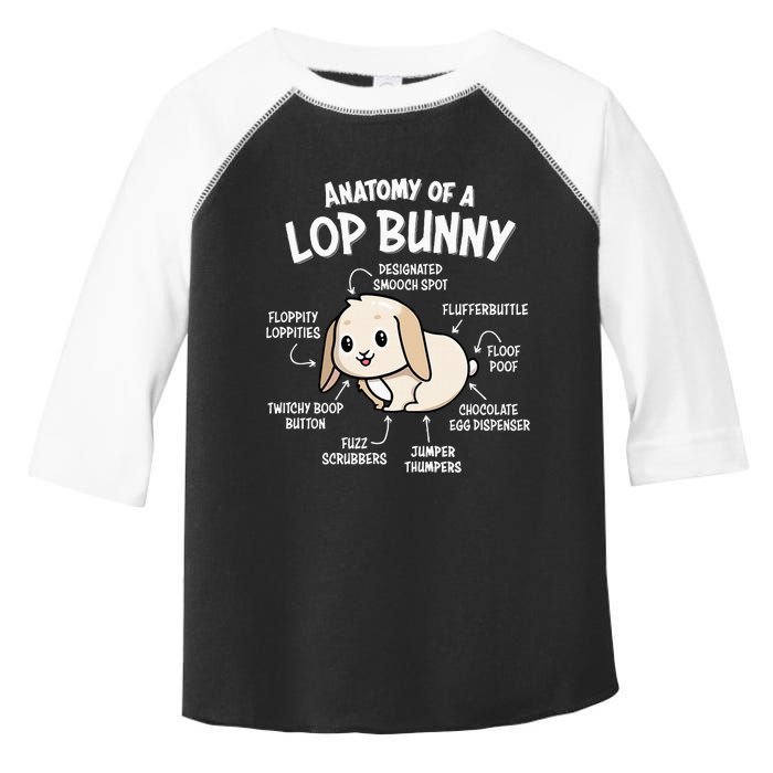 Holland Lop Toddler Fine Jersey T-Shirt