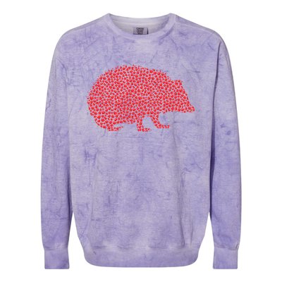 Hedgehog Lover Heart Shape Hedgehog Valentine's Day Funny Gift Colorblast Crewneck Sweatshirt