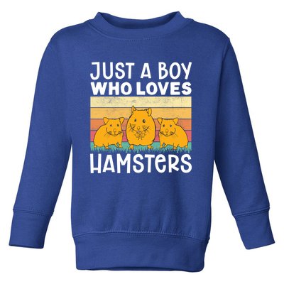 Hamster Lover Just A Boy Who Loves Hamsters Retro Hamster Gift Toddler Sweatshirt