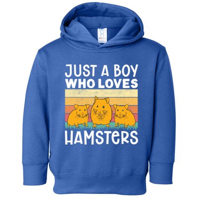 Hamster Lover Just A Boy Who Loves Hamsters Retro Hamster Gift Toddler Hoodie