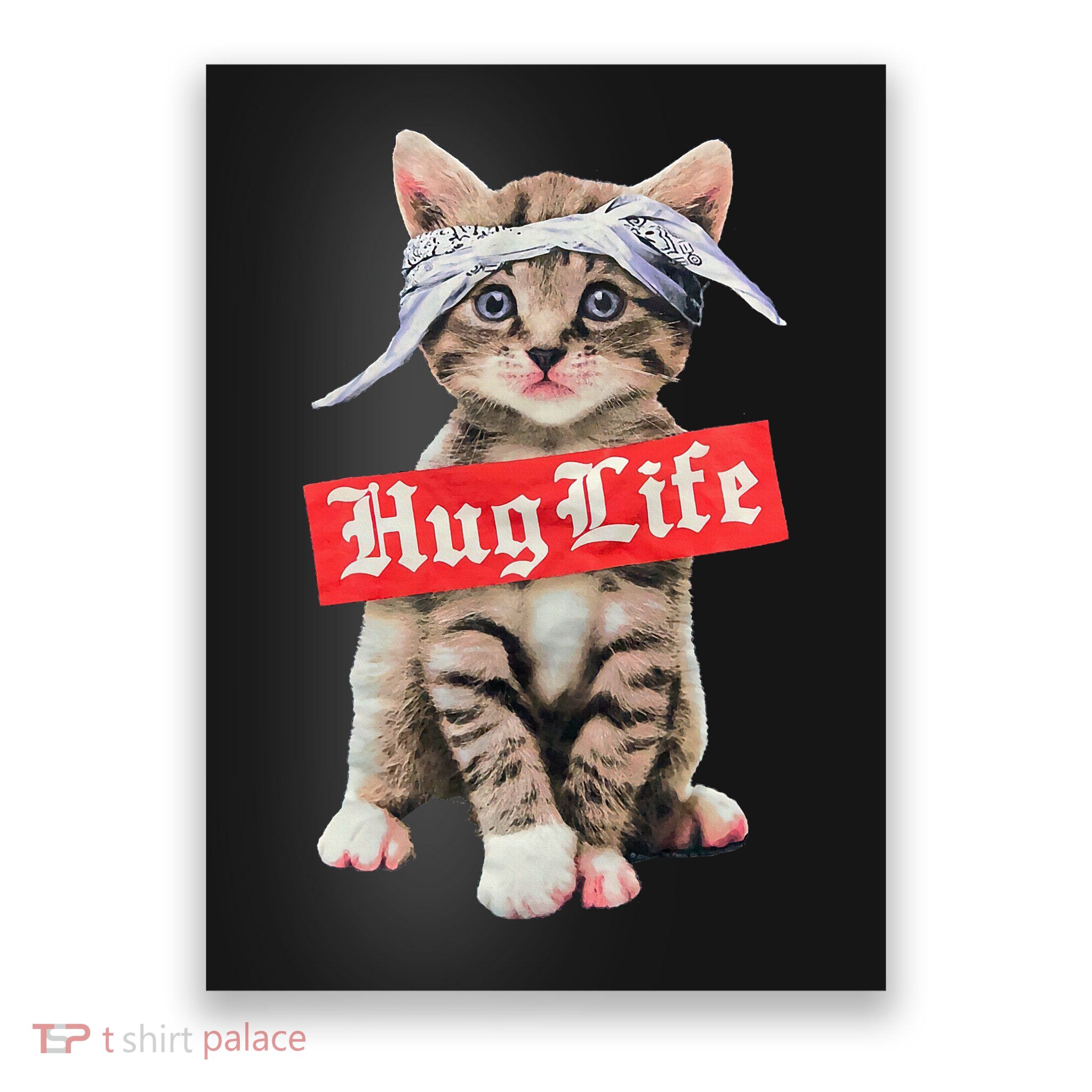 Hug Life Kitty Cat Hug Kitten Poster