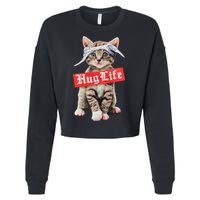 Hug Life Kitty Cat Hug Kitten Cropped Pullover Crew