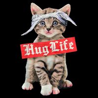 Hug Life Kitty Cat Hug Kitten T-Shirt