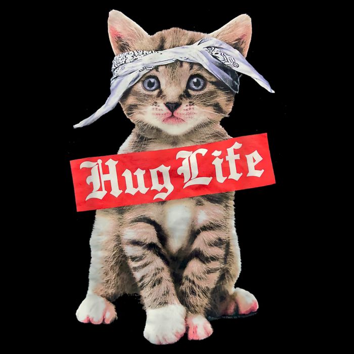 Hug Life Kitty Cat Hug Kitten T-Shirt