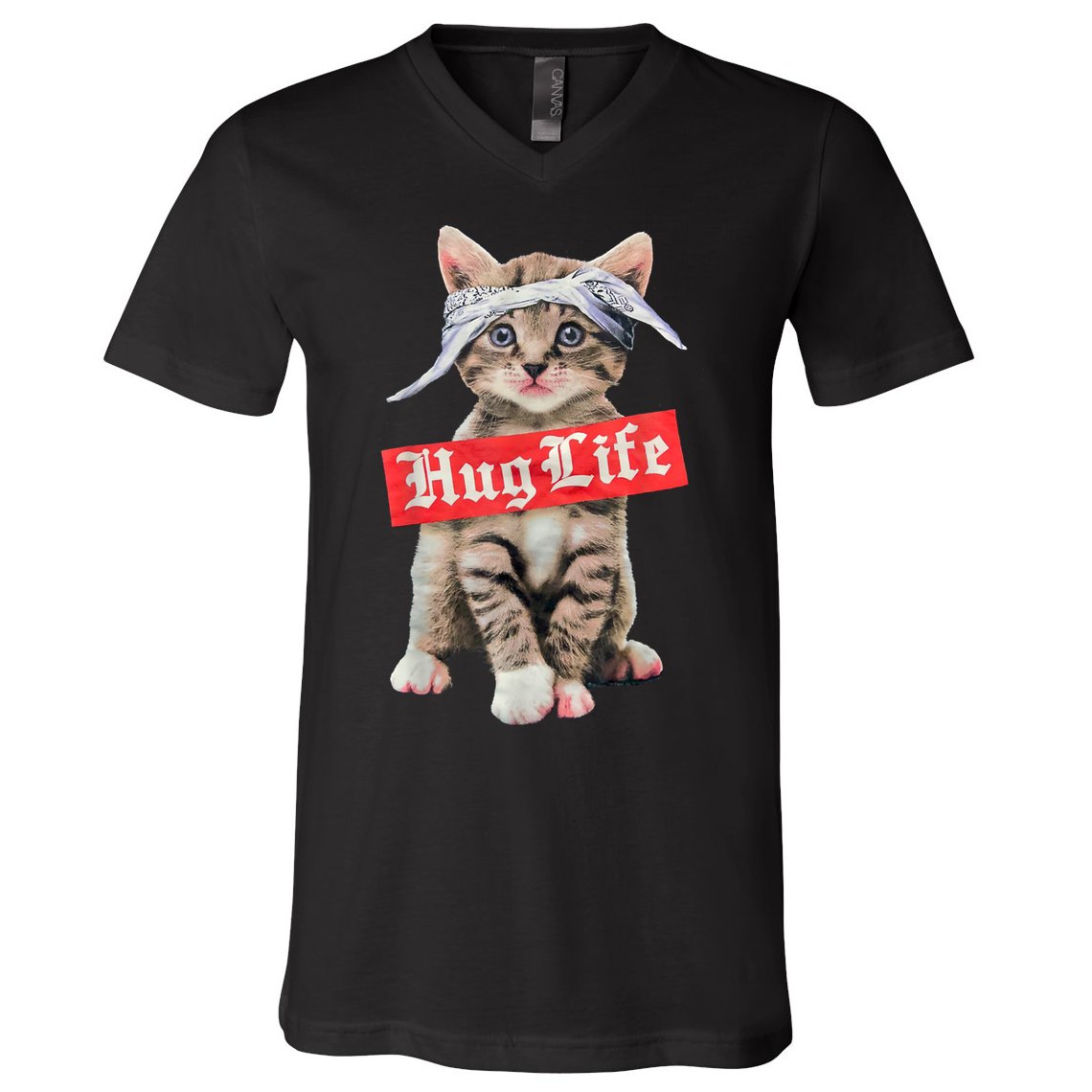 Hug Life Kitty Cat Hug Kitten V-Neck T-Shirt