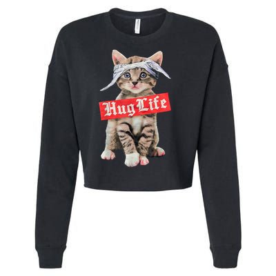 Hug Life Kitty Cat Hug Kitten Cropped Pullover Crew