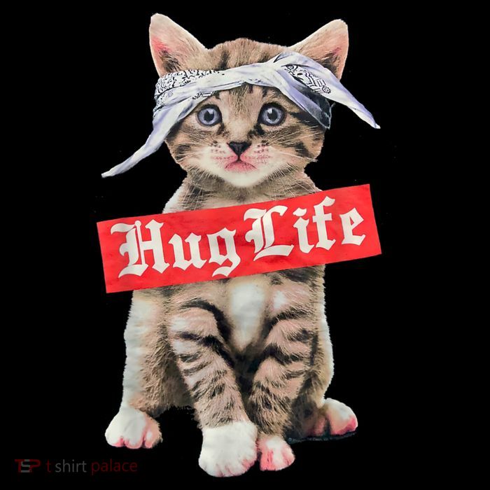 Hug Life Kitty Cat Hug Kitten Short Acrylic Beanie