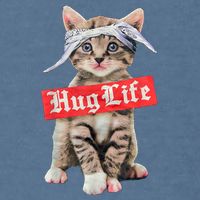 Hug Life Kitty Cat Hug Kitten Garment-Dyed Sweatshirt