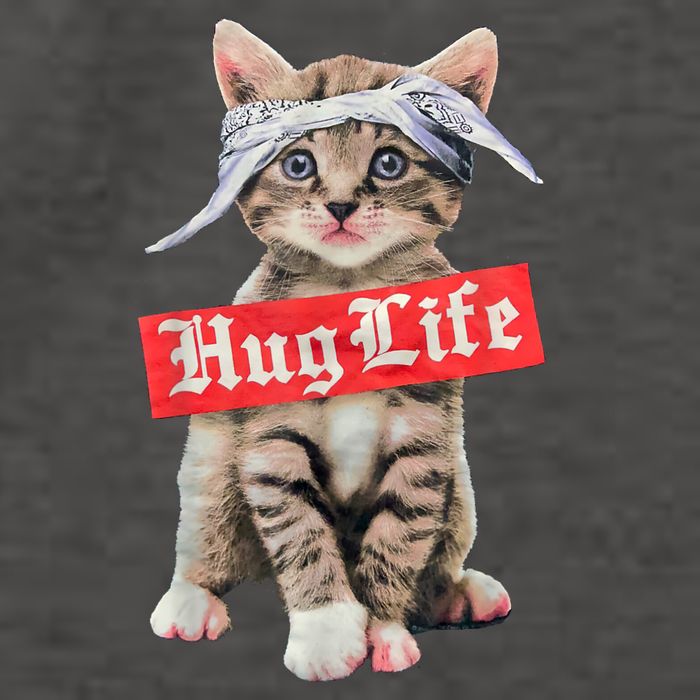 Hug Life Kitty Cat Hug Kitten Vector Backpack